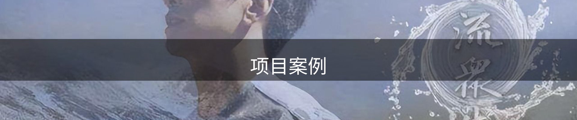项目案例